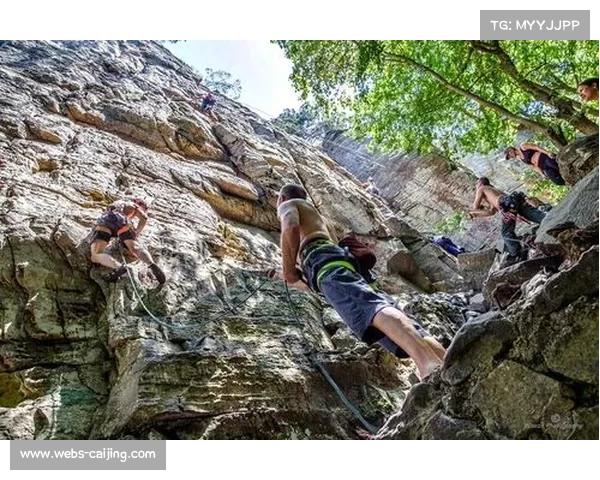 攀岩运动损伤数据分析与预防措施研究及应用探索